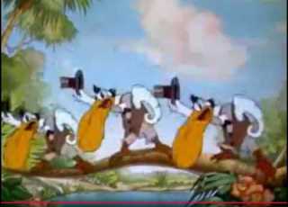 Elmer The Elephant Scene