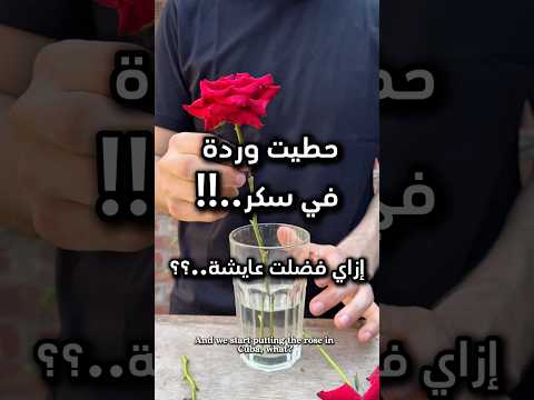 تجربه تخلي الورد هيعيش مدي الحياة