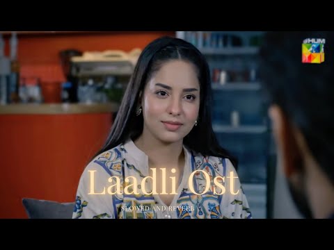 LAADLI OST SLOWED REVERB