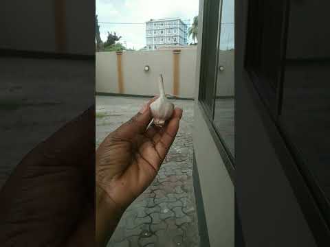 Hutaishiwa Na Pesa Tena Baada Ya Hii Hutaishiwa Na Pesa Tena Baada Ya Hii