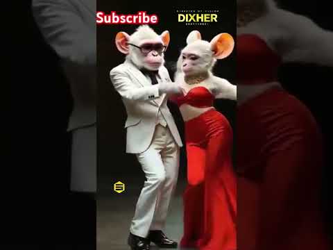 Kisima Majabala Guro Duet New Song Limbu Bhudagala