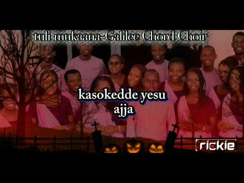 Tuli Mukaana Galilee Chord Choir Video Lyrics Visualizer Tuli Mukaana Galilee Chord Choir Video Lyrics Visualizer