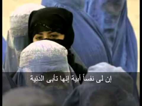 أحمد بوخاطر فليقولوا عن حجابى