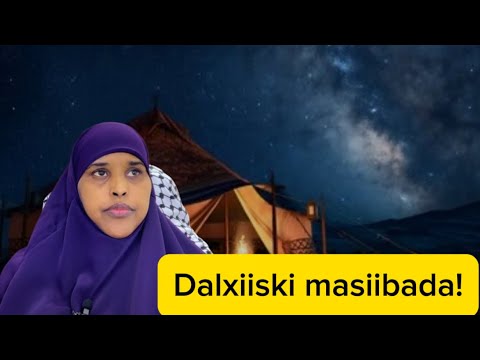 DALXISKII ISUBADALAY MASHAQADA Sawdamqaalib