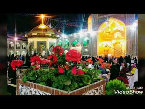 مولد الامام علي ابن موسى الرضا عليهما السلام بالدنيه شمسين مولد الامام علي ابن موسى الرضا عليهما السلام بالدنيه شمسين