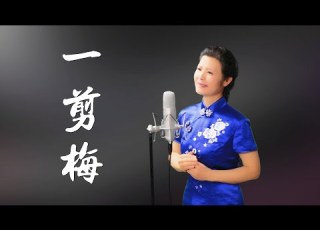  抖音tiktok 一剪梅 Yi Jian Mei 雪花飄飄 北風蕭蕭 陳敏中音