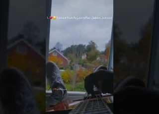 مشاعر حساسه