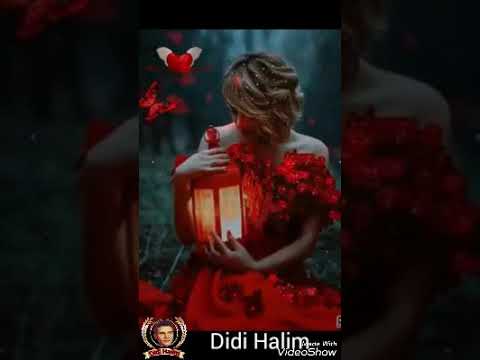 Music أوتار الليل