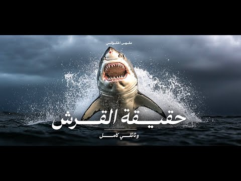 أسرار عالم القرش كاملة أخطر مفترسين المحيطات وثائقي