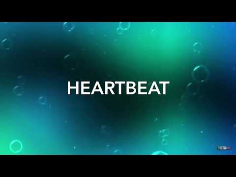 Heartbeat Marcus Martinus SpeedUp