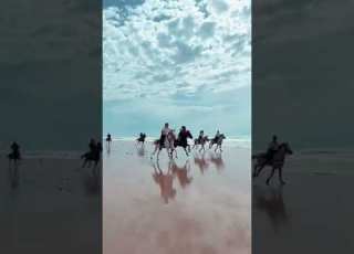 شاهد سرعة وجمال ركوب الخيل في البحر