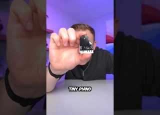 Smallest Instruments In The World