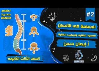  2 شرح العمود الفقري وتركيب الفقرة شرح الدعامة فى الانسان احياء تالته ثانوى 2023 إيمان حسن