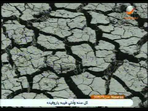 شادية يا عينى على الولالالا