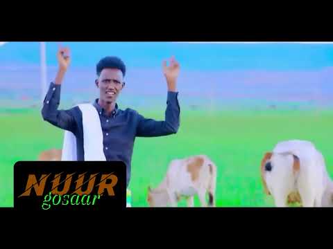 Nuur Gosaar Dhanto Cusub Macaneey Official Video 2025 HD