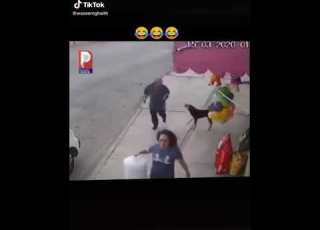 ضرب الكلب بقوه