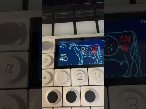 Op 1 Is TOTALLY Worth 2000 Sounddesign Op1 Teenageengineering Musicproduction