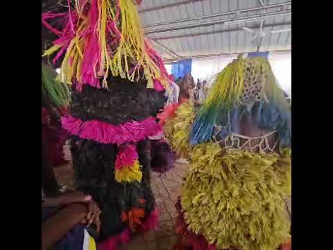 WhatsApp Video 2026 02 28 At 15 17 24