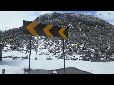 Tawang To Dirang Through Sela Tunnel In A Local Sumo March 2026