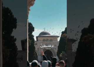  محمود درويش فلسطين محمود درويش فلسطين