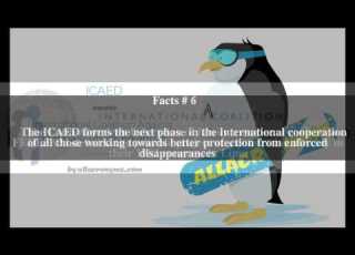  International Coalition Against Enforced Disappearances Top 13 Facts