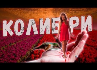  Просто Шикарная Новинка Послушайте Колибри