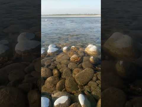 Darya River Trending Ytshorts Nature Funnyvideo Funnyvideo NatGeo HBO Animalplanet