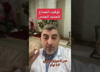 توقيت الجماع لتحديد نوع الجنين