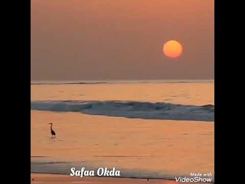 موسيقى عمر خيرت فيلم عفوا ايها القانون