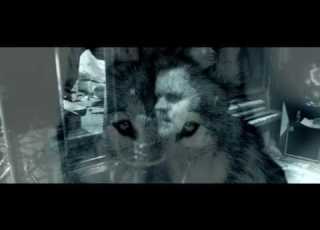 ColdSpell Call Of The Wild