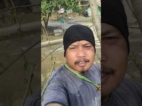 Invel La Medi Umhi Akijen In Hinla Mivang Khanjou Ahipoi Alhase Dingen