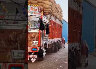 Log Sale Viral Trending Truck Rani Loading