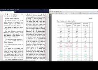 How To Use The Hans Wehr Dictionary