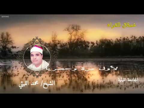 لأول مرة رائعة قصار السور عزبة عامر الشيخ محمد الليثي رحمه الله لأول مرة رائعة قصار السور عزبة عامر الشيخ محمد الليثي رحمه الله