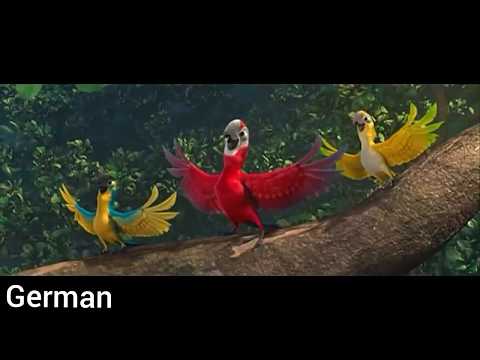 Rio Real In Rio German