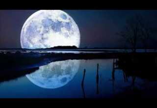 این چه شوریست که در دورقمر میبینم