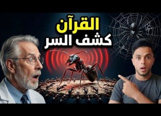 علماء ي صدمون بسر بالنمل والعنكبوت القرآن كشفه قبل 1400 عام