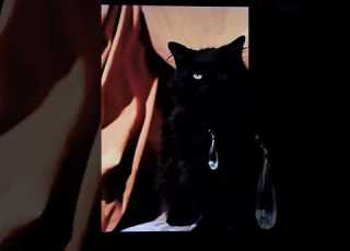 My Precious Shorts Startrek Short Viralshort Shortvideo Youtubeshorts Tv 60s Scifi Tos