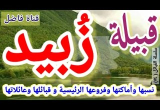 قبيلة ز بيد نسبها وأماكنها وأفرعها الرئيسية الكبرى وقبائلها وعائلاتها