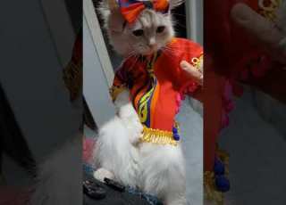  اول رمضان أصوم انا وانت
