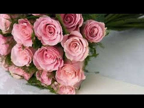 Tlamo Tlamo Rbou5 Jaw A3res Tounsi