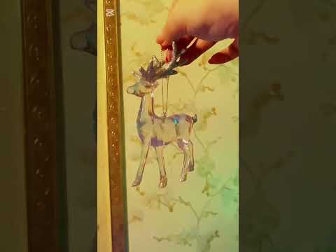 Чудо Рождества чудо рождество новыйгод новогодняяёлочка новогодняяёлка