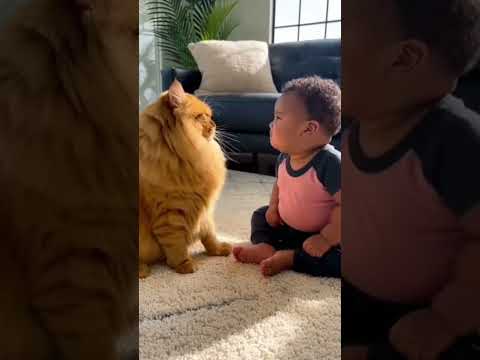 Süßes Baby Und Hund XXX