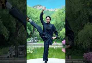 How Many Seconds Can You Persist In This Action Tai Chi Wushu Basic Skills Chinese Martial Arts
