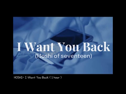 HOSHI I Want You Back 1시간 반복재생 생일축하해 호랑이