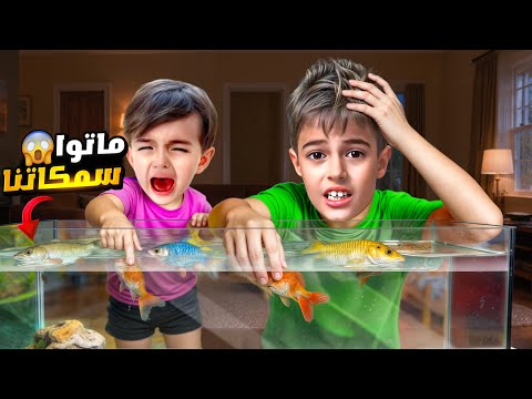 ماتوا سمكات خلودة وكموتة رحنا دفناهون وخلودة صار يبكي عليهون