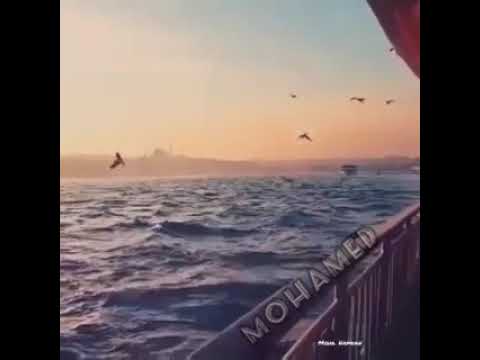 عايز اقول اننتا وحشني وحشني وحشني كتير