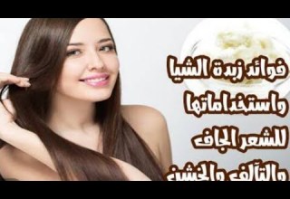 وصفة زبدة الشيا لتطويل وتنعيم الشعر مجربة وفعالة وصفات طبيعية تطويل الشعر فوائد الشيا ترند