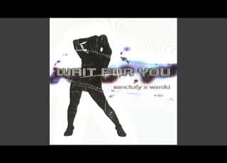 Wait For You Feat Wzrdd
