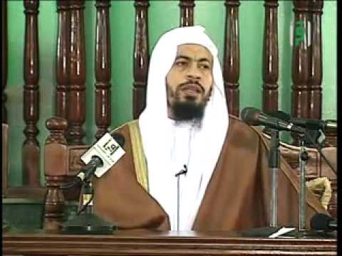 يوسف بن تاشفين د محمد موسى الشريف